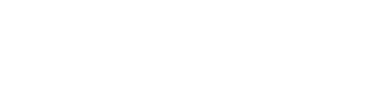 MSM Logo